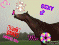 /album/fotogalerij/a422347616-840995-gif/